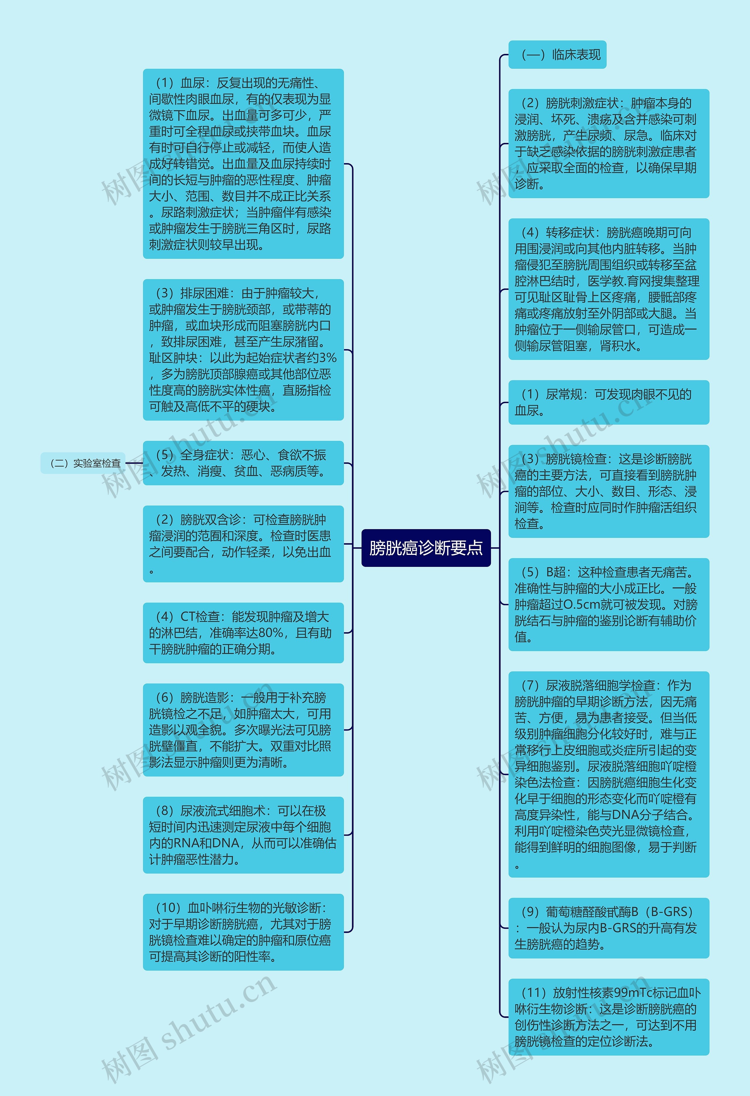 膀胱癌诊断要点思维导图