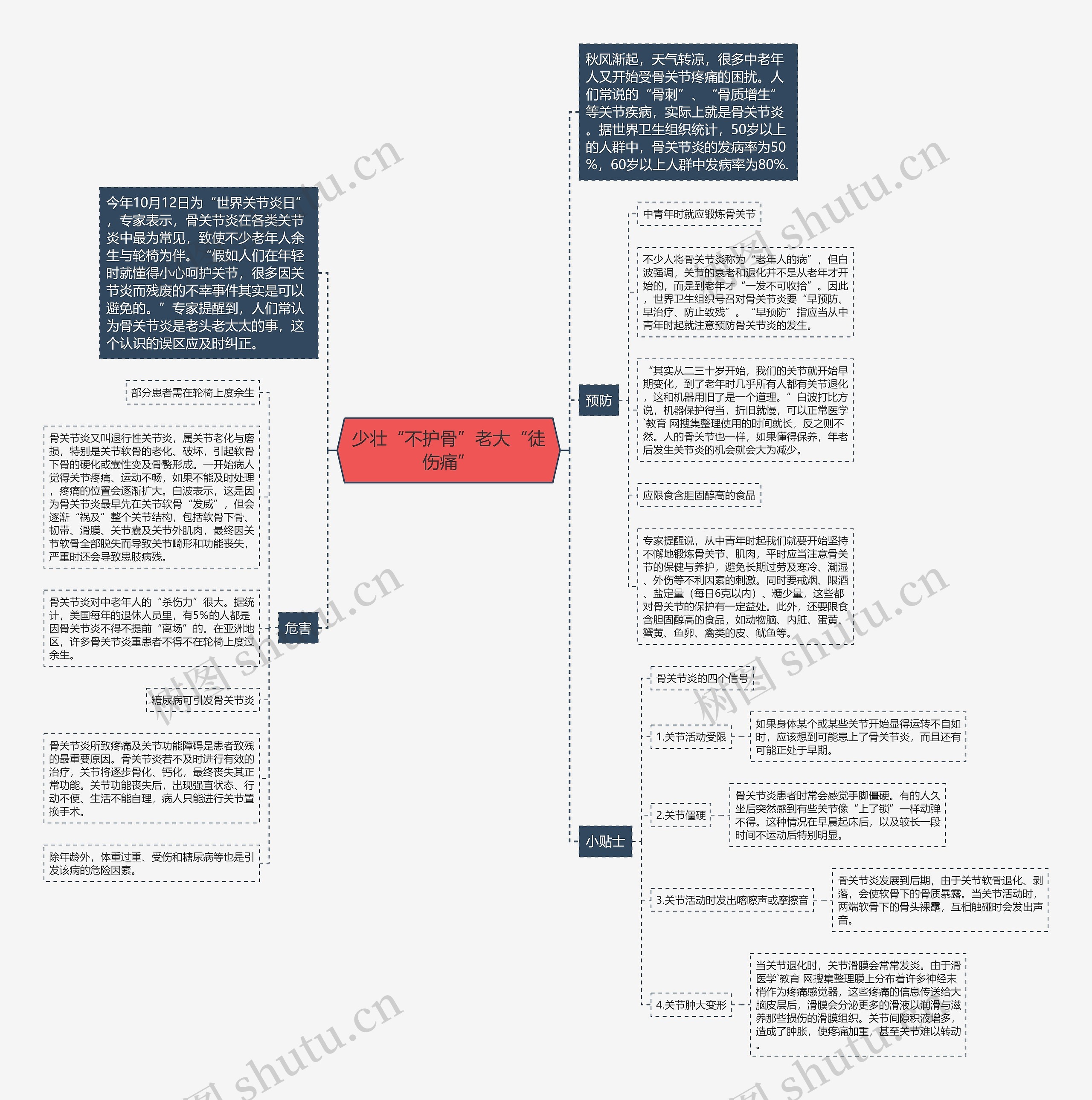少壮“不护骨”老大“徒伤痛”思维导图