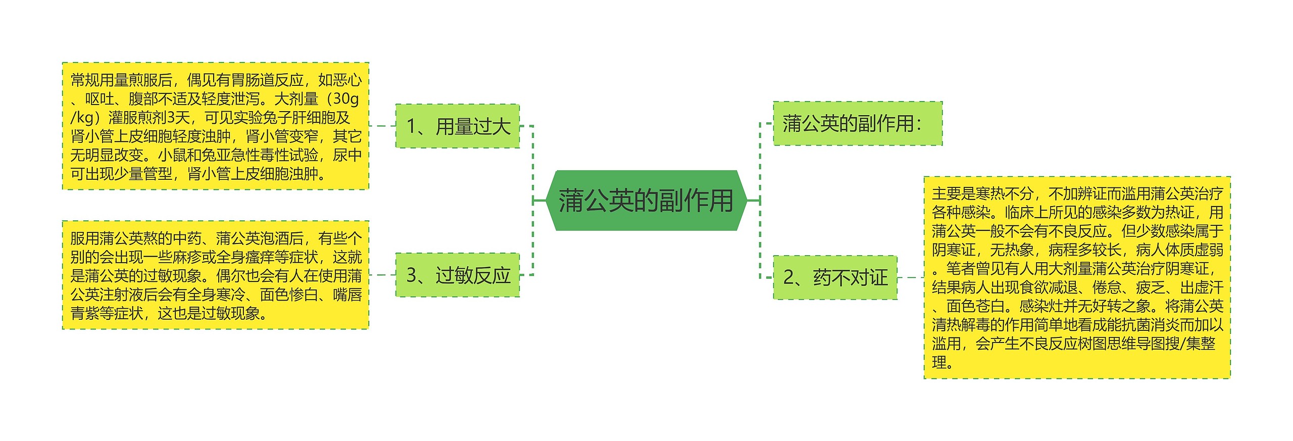 蒲公英的副作用思维导图