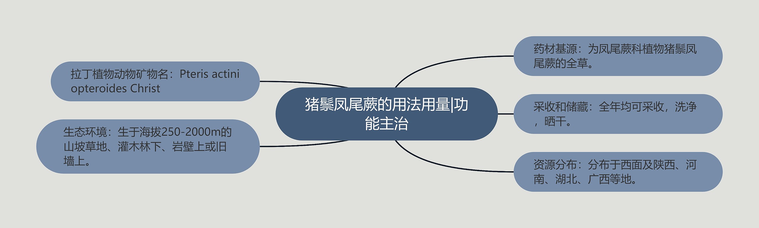猪鬃凤尾蕨的用法用量|功能主治 猪鬃凤尾蕨的用法用量|功能主治