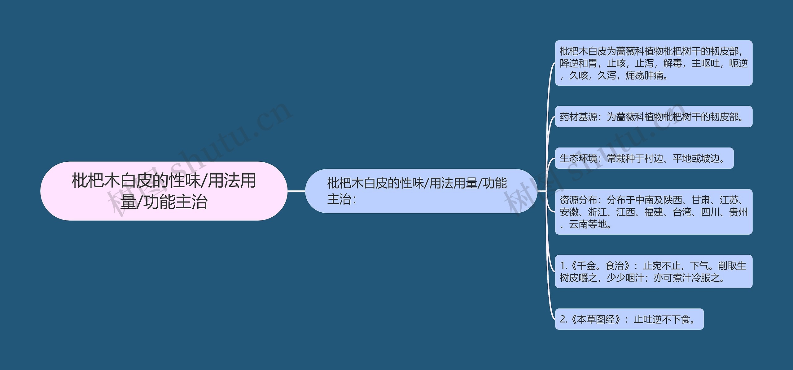 枇杷木白皮的性味/用法用量/功能主治