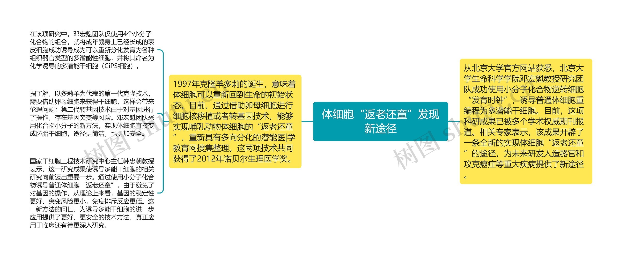 体细胞“返老还童”发现新途径