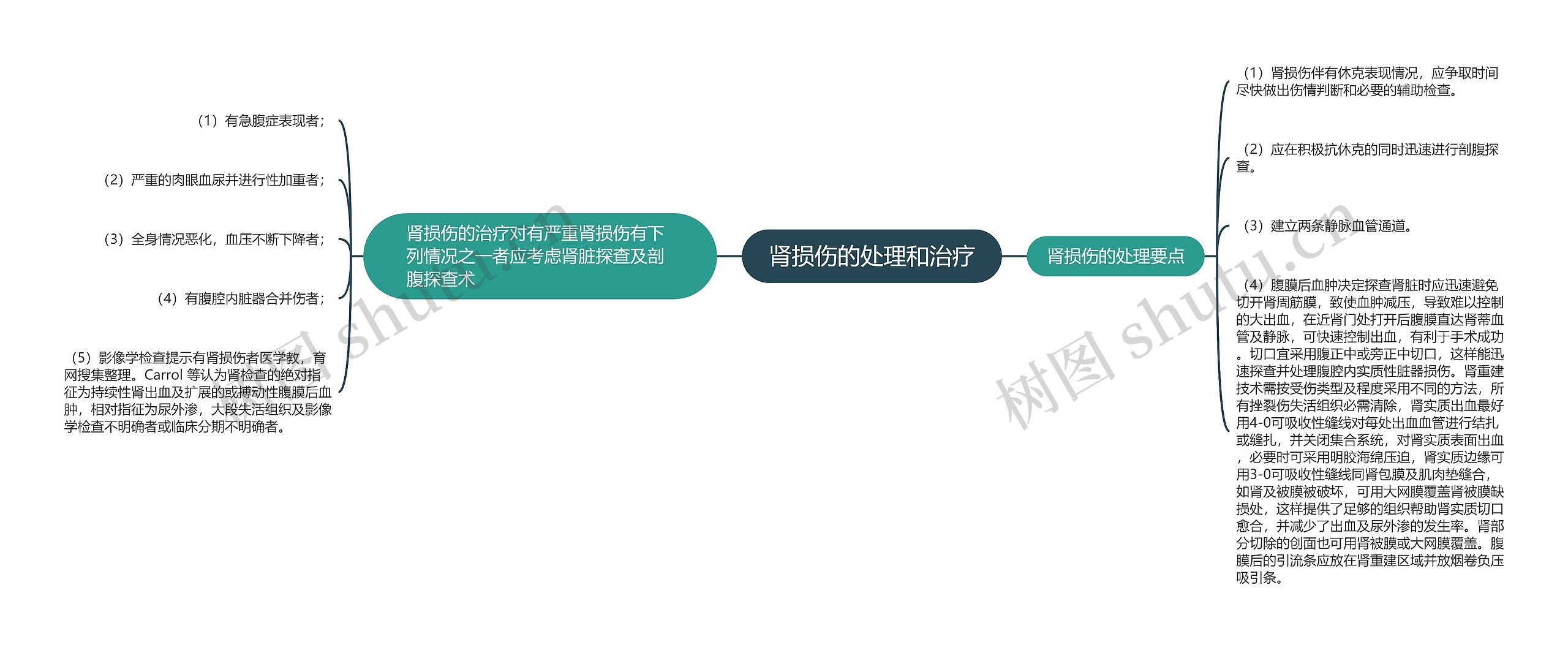 肾损伤的处理和治疗思维导图