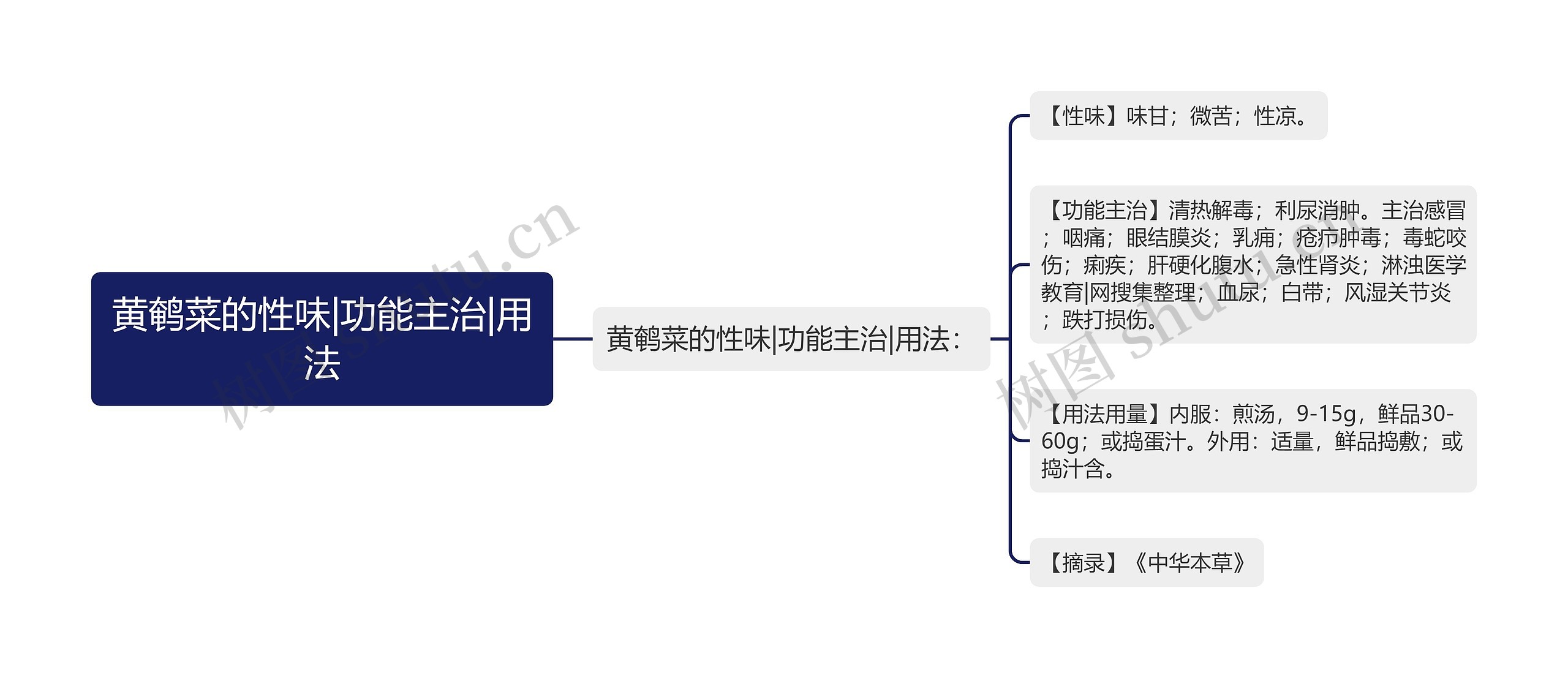 黄鹌菜的性味|功能主治|用法思维导图