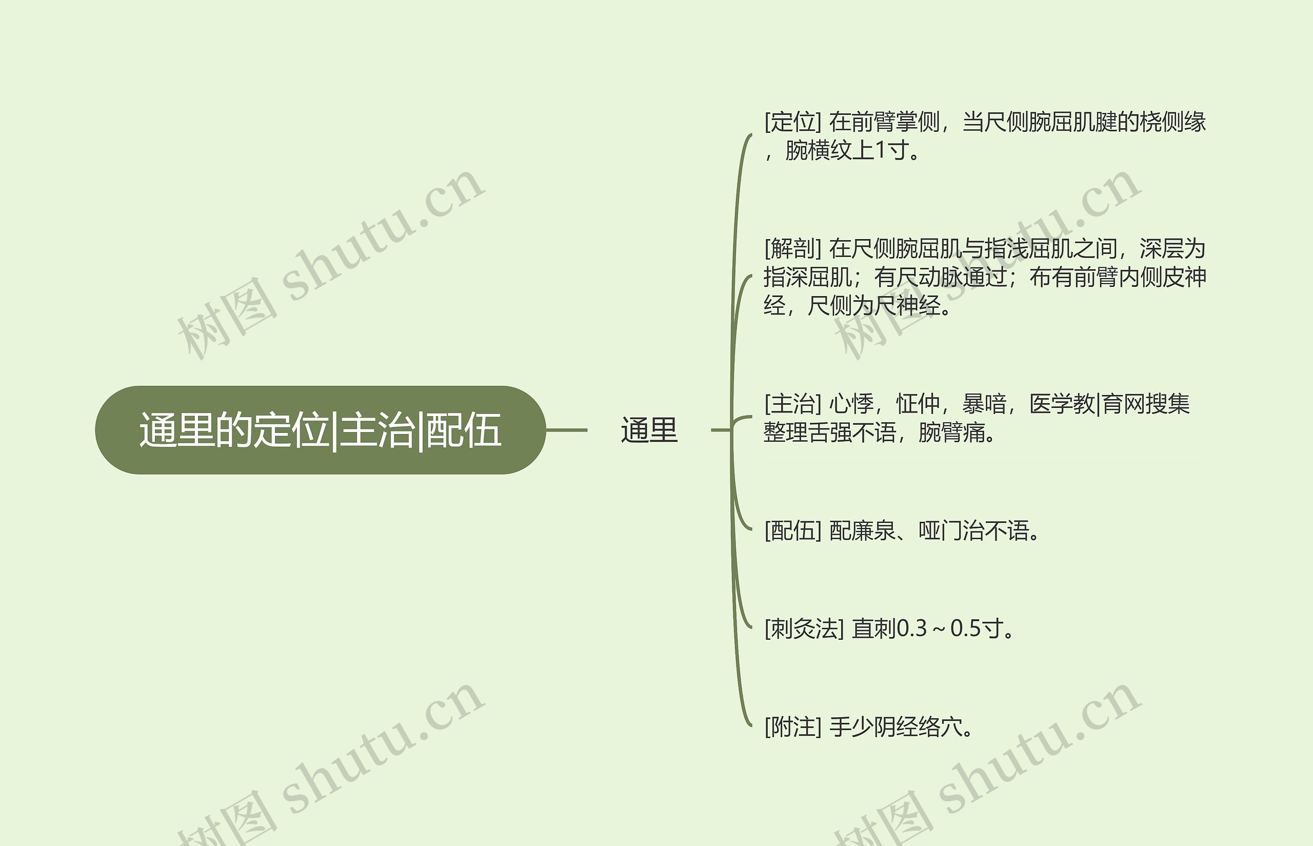 通里的定位|主治|配伍思维导图