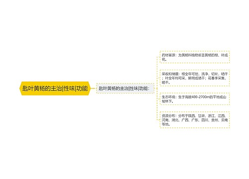 匙叶黄杨的主治|性味|功能