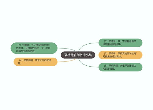 牙槽骨解剖名词小结