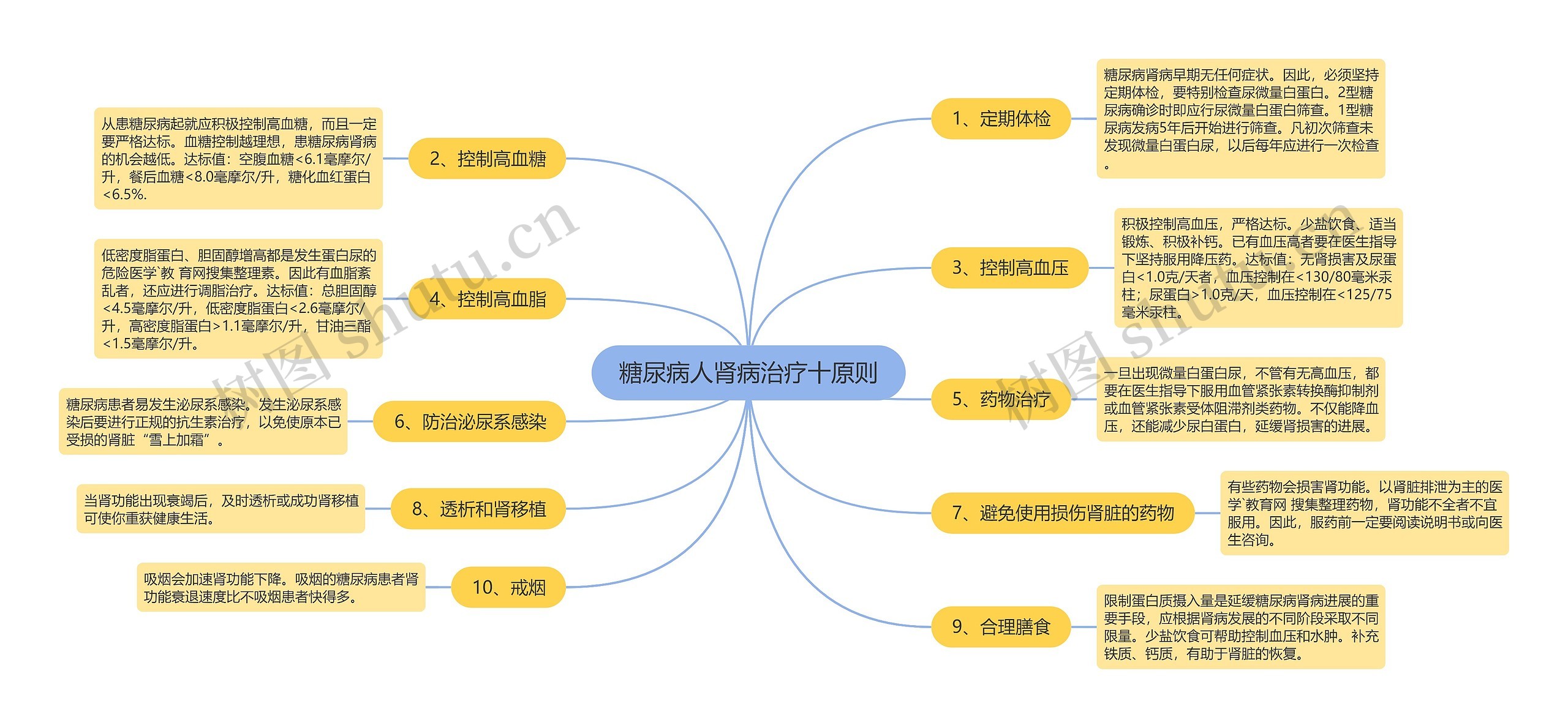 糖尿病人肾病治疗十原则思维导图