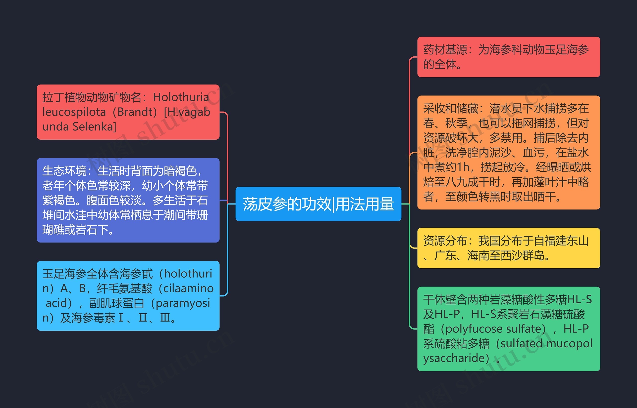 荡皮参的功效|用法用量思维导图