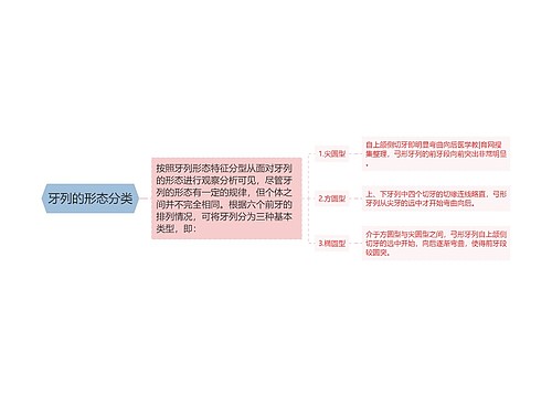 牙列的形态分类