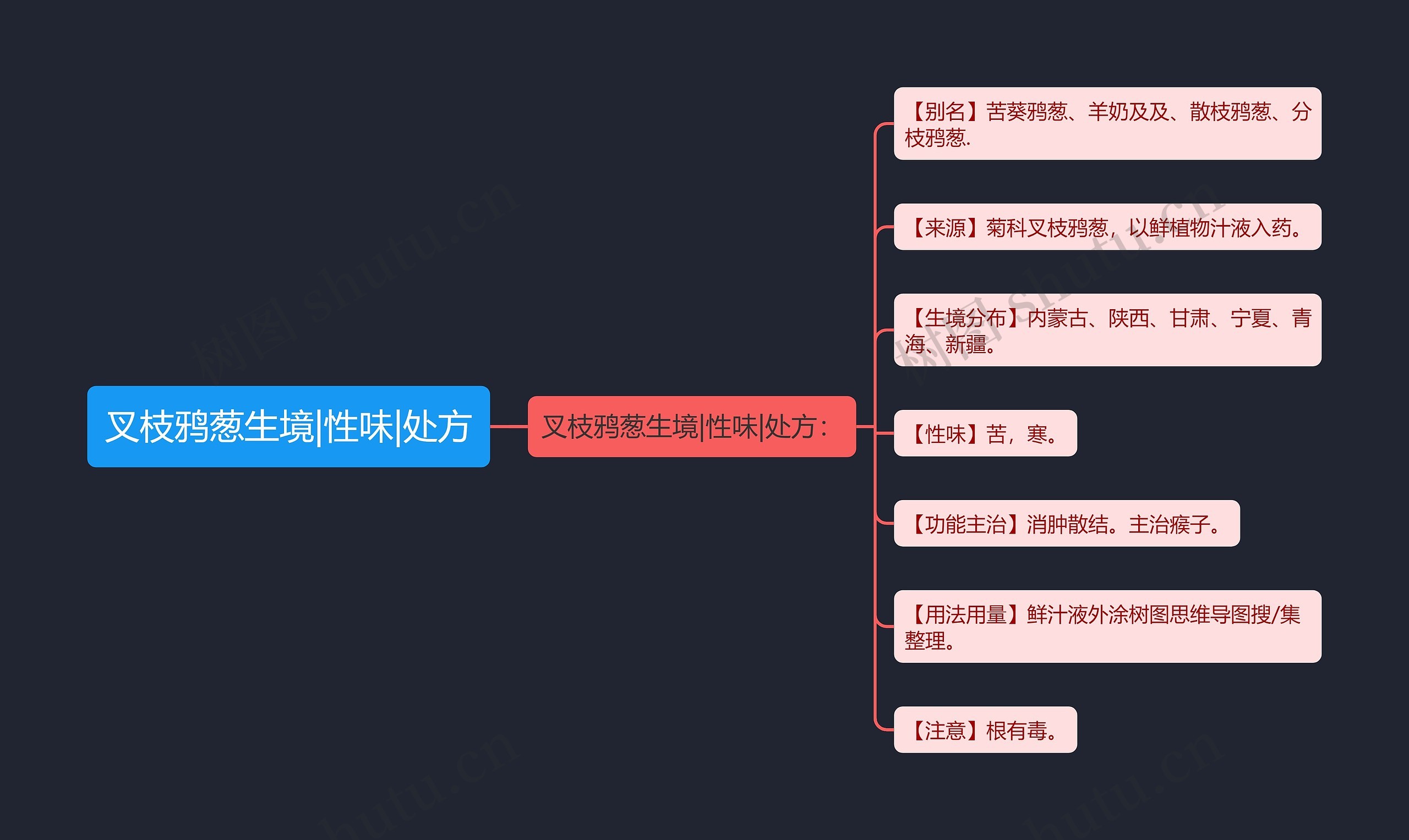 叉枝鸦葱生境|性味|处方