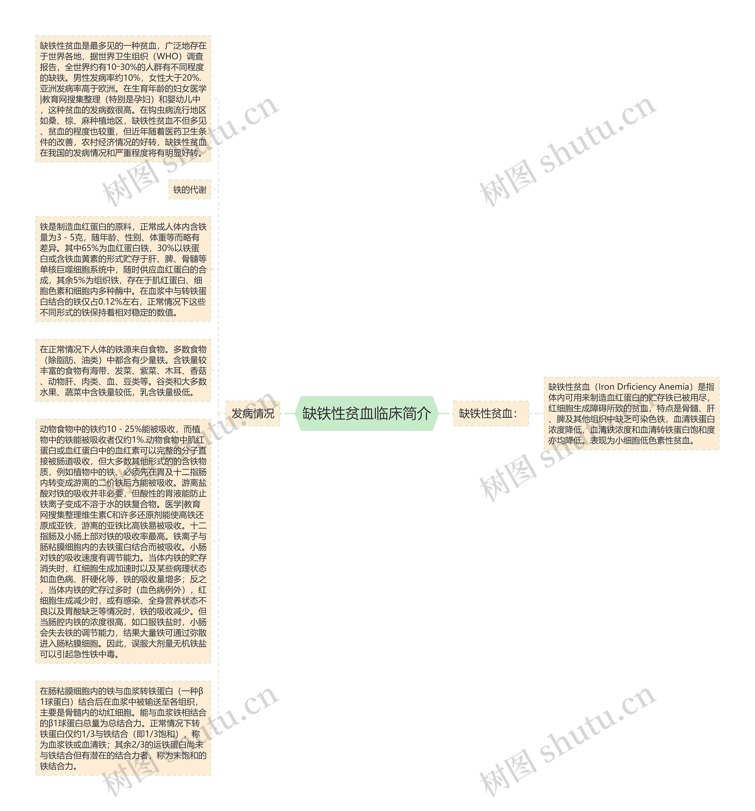 缺铁性贫血临床简介思维导图