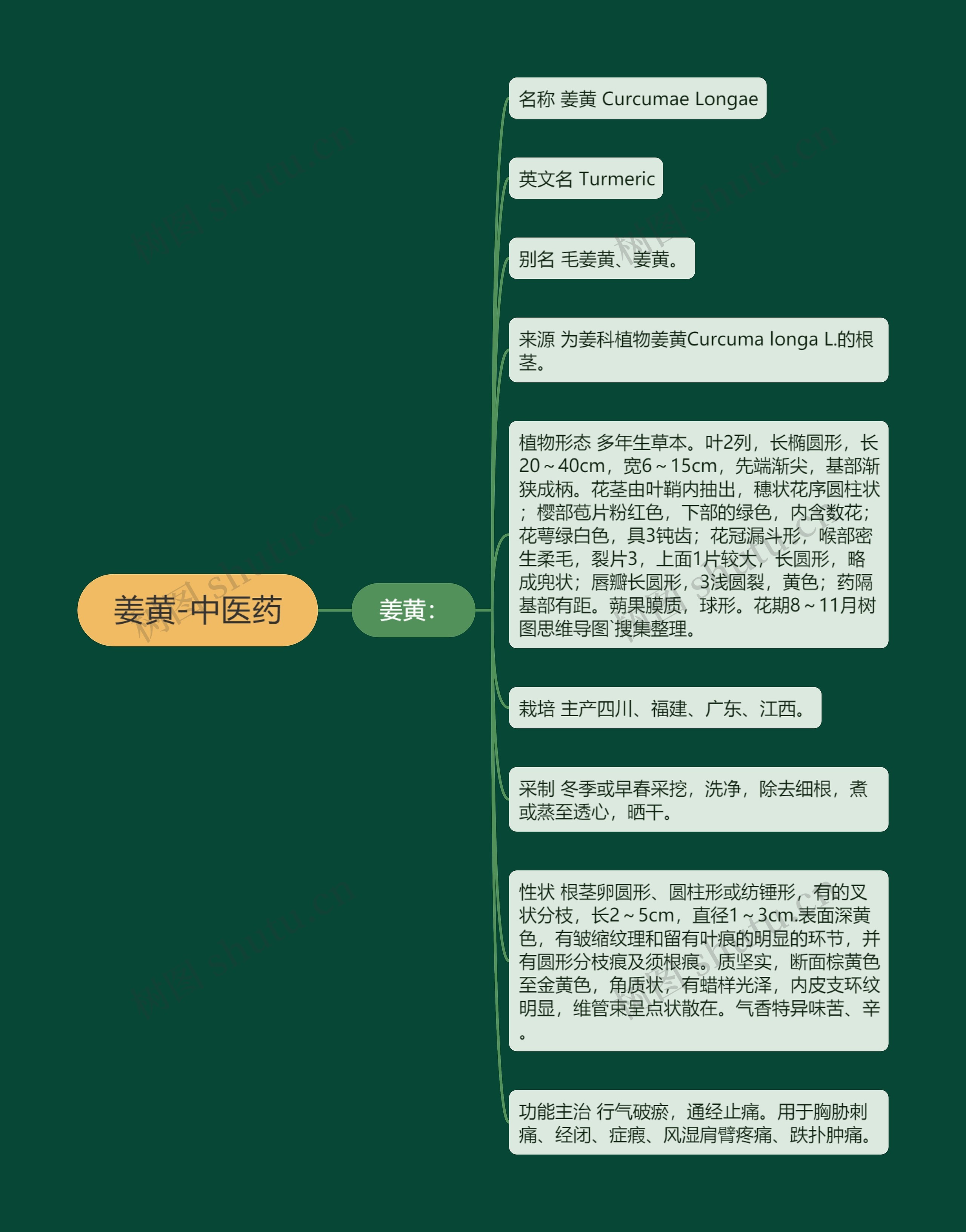 姜黄-中医药 姜黄-中医药