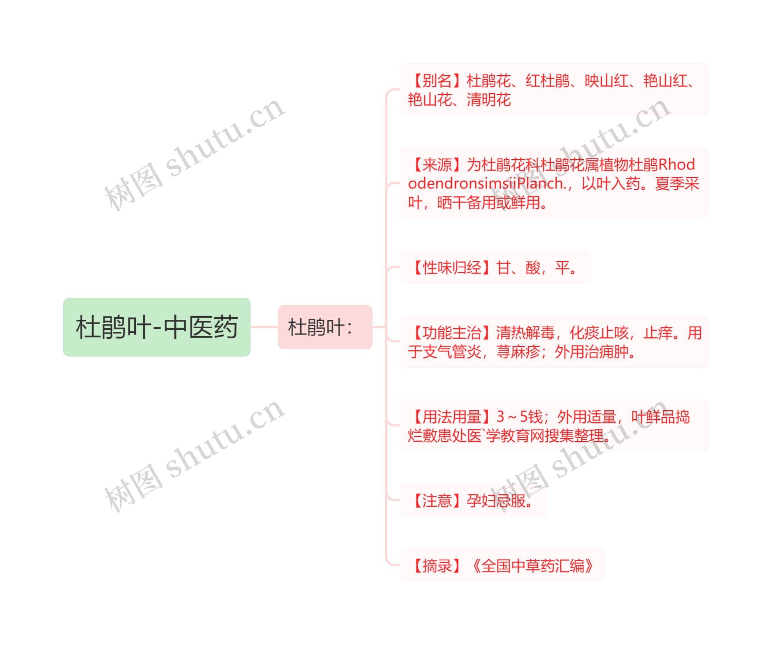 杜鹃叶-中医药思维导图