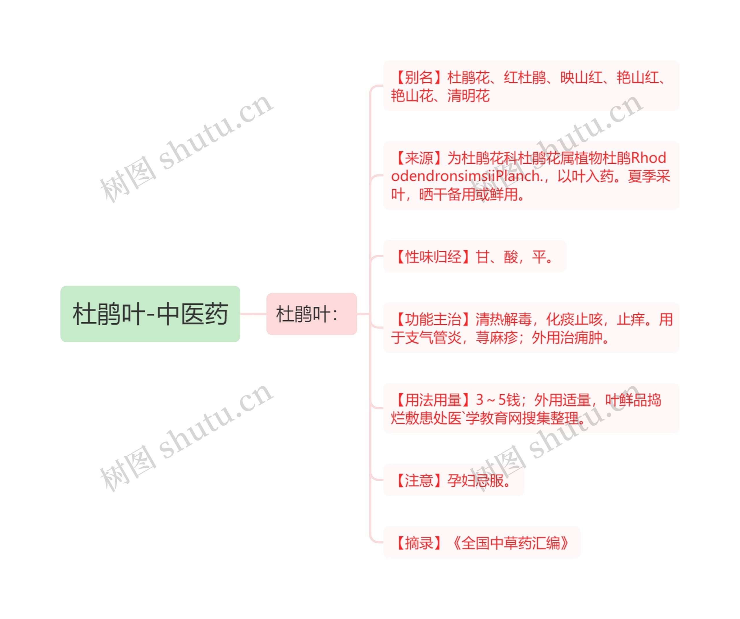 杜鹃叶-中医药 杜鹃叶-中医药