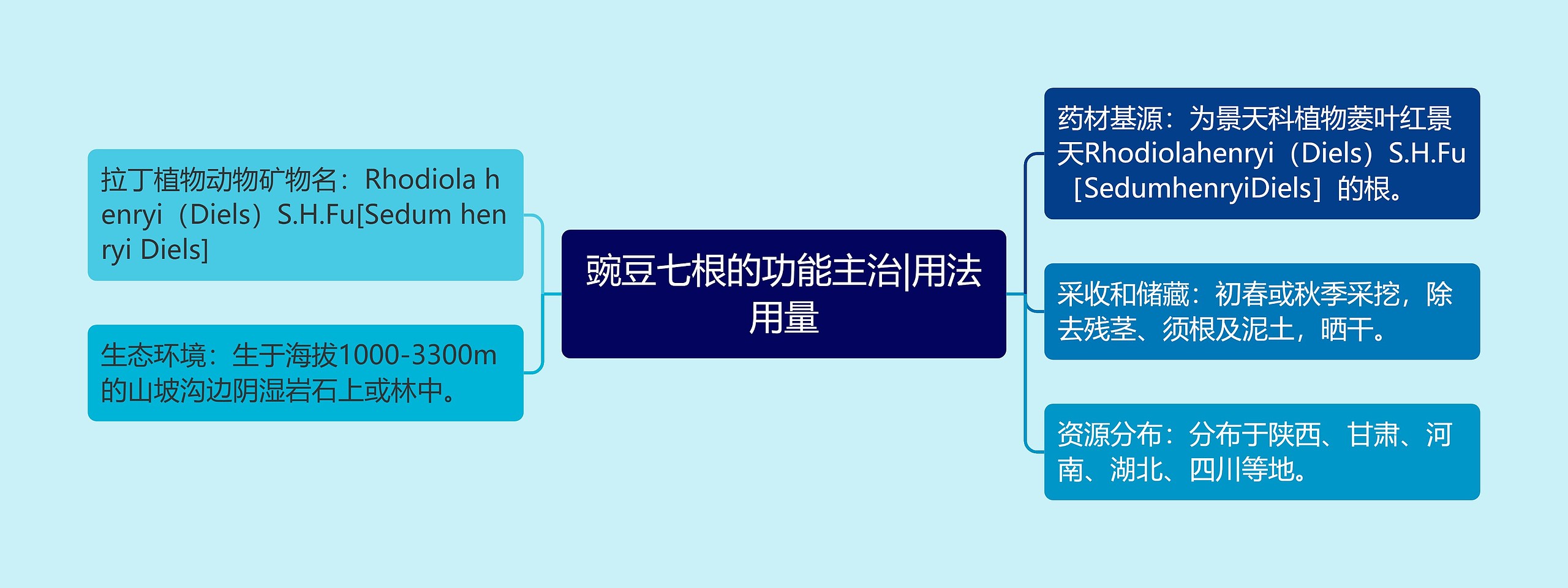 豌豆七根的功能主治|用法用量思维导图