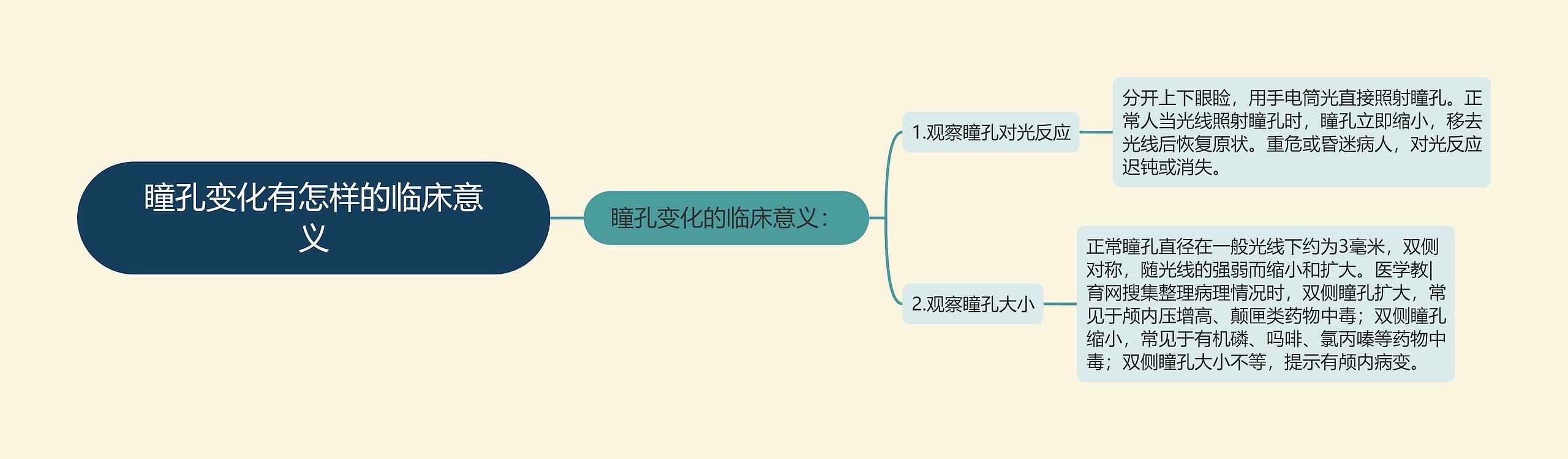 瞳孔变化有怎样的临床意义思维导图