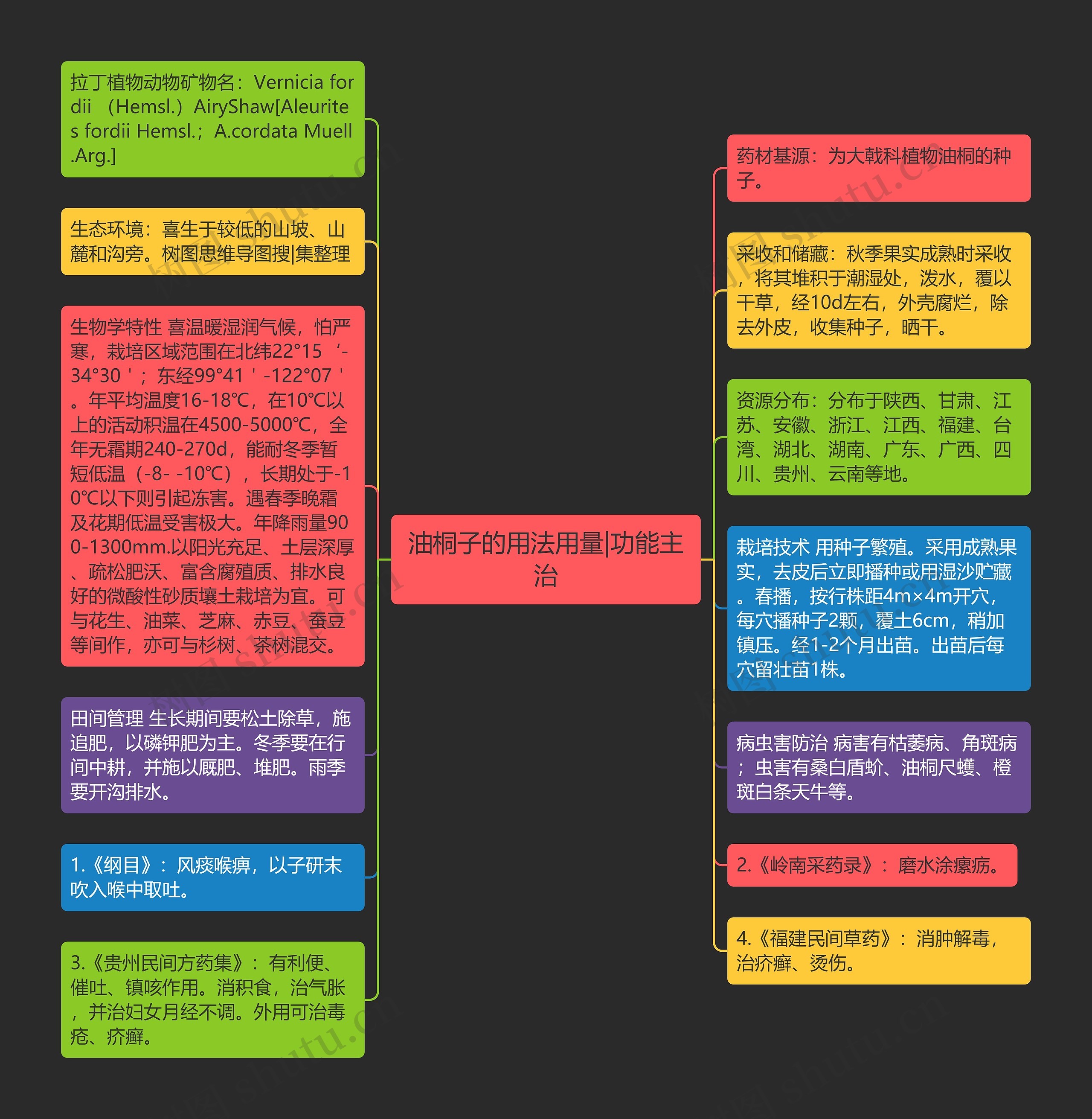 油桐子的用法用量|功能主治思维导图