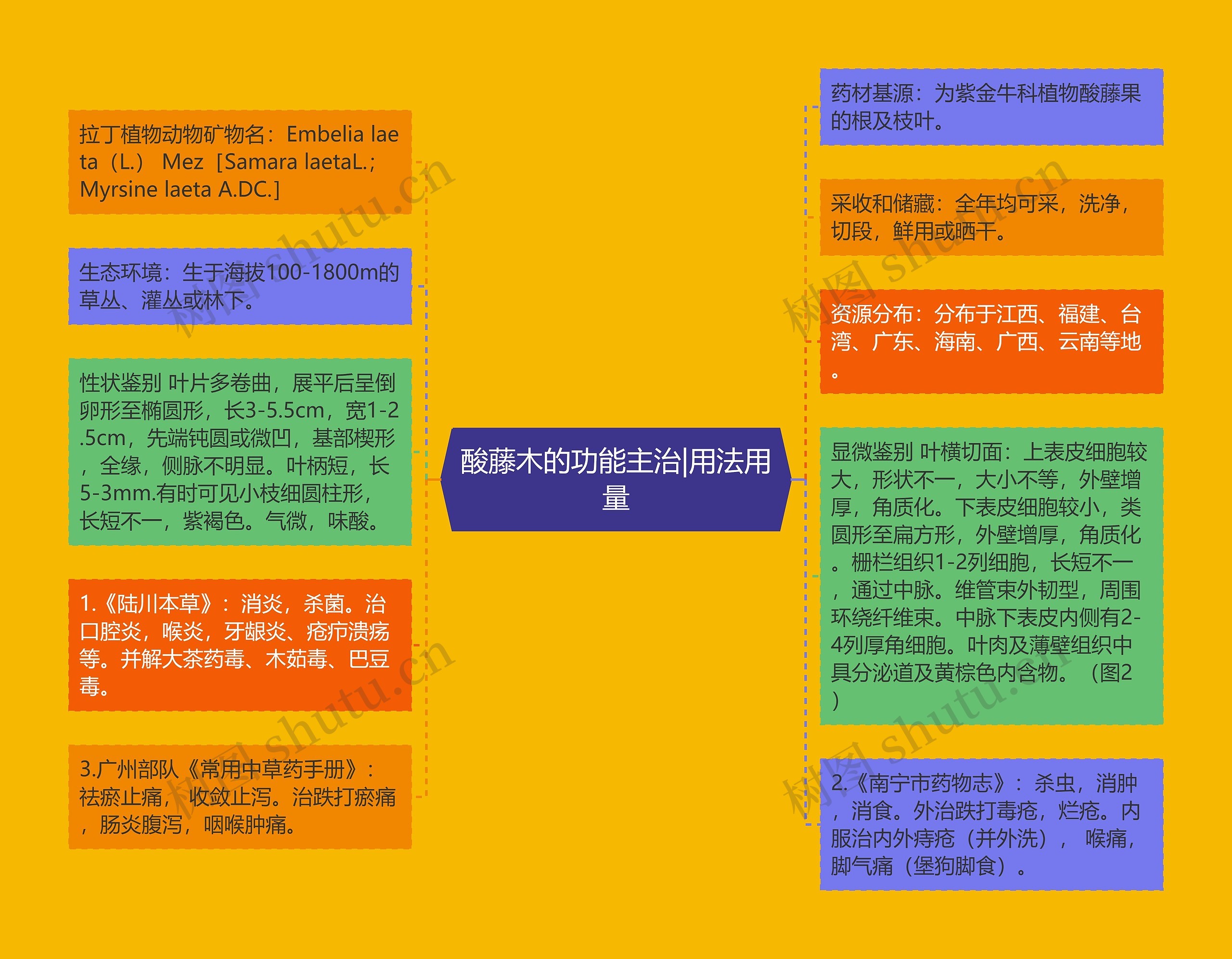 酸藤木的功能主治|用法用量