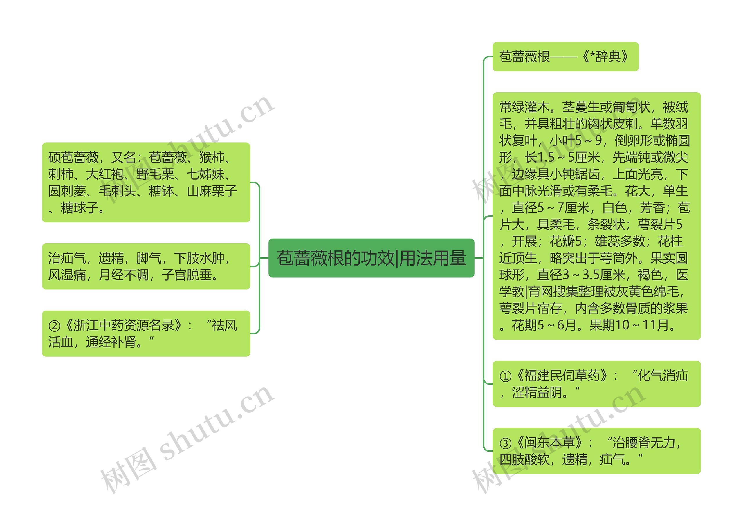 苞蔷薇根的功效|用法用量思维导图