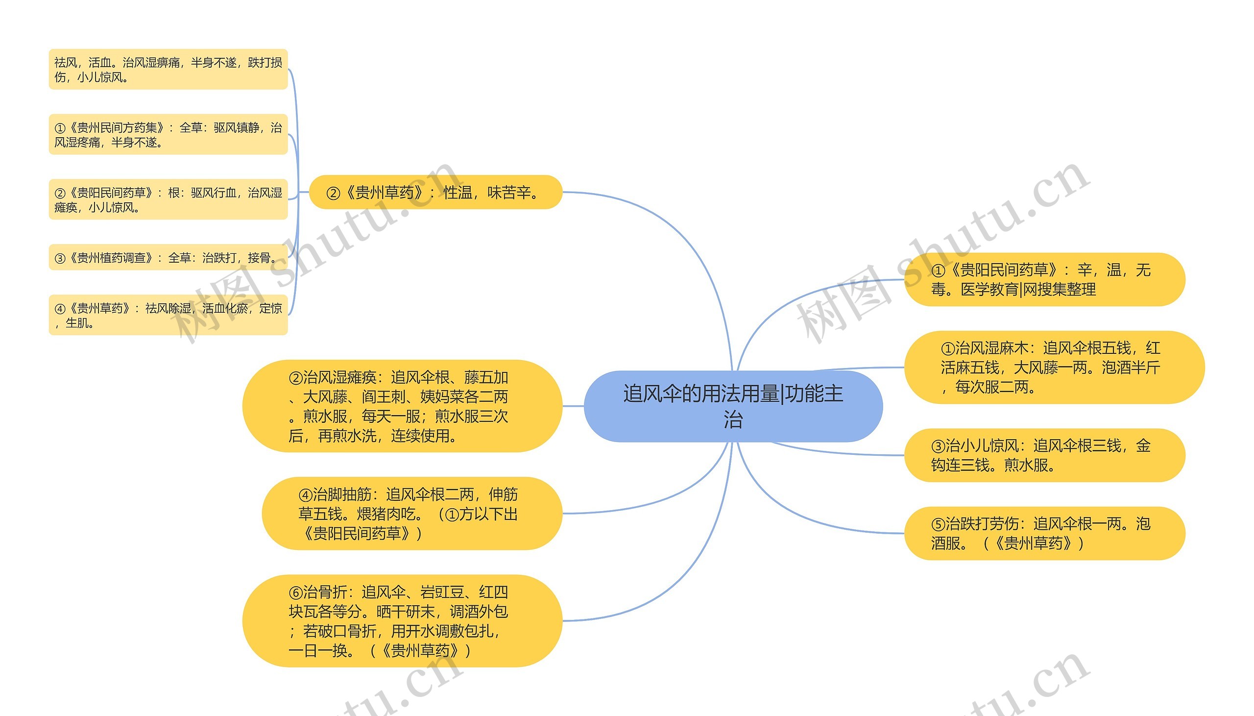 追风伞的用法用量|功能主治思维导图