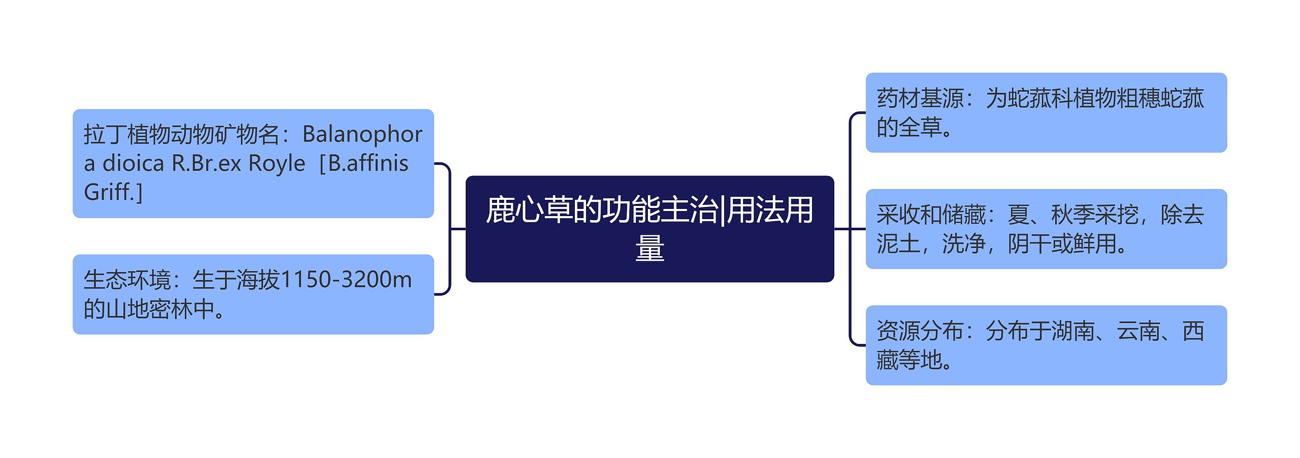 鹿心草的功能主治|用法用量思维导图