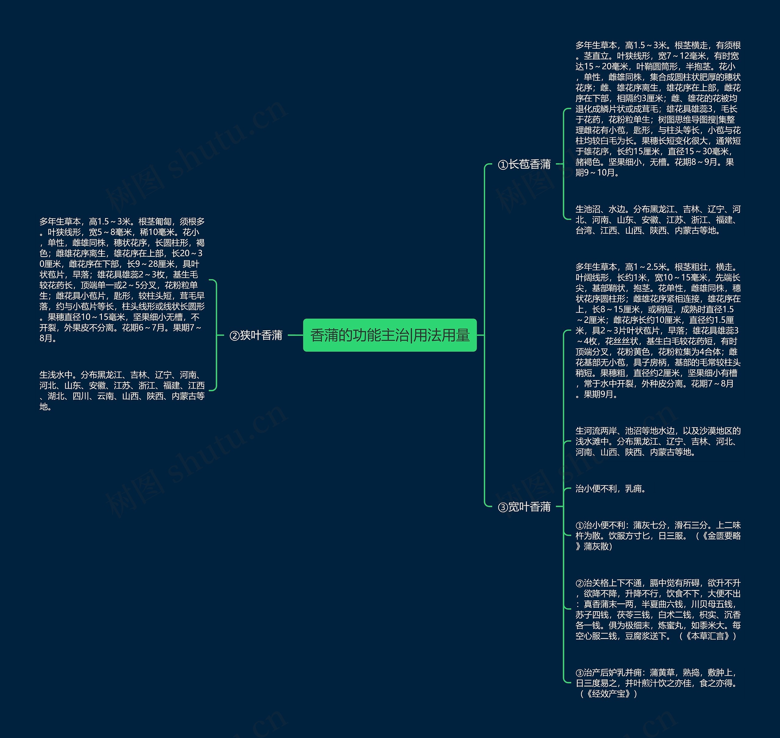 香蒲的功能主治|用法用量思维导图