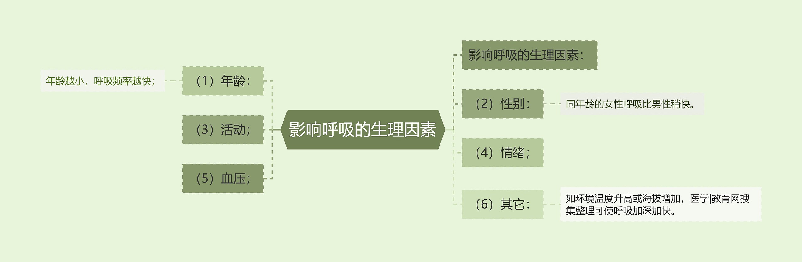 影响呼吸的生理因素思维导图