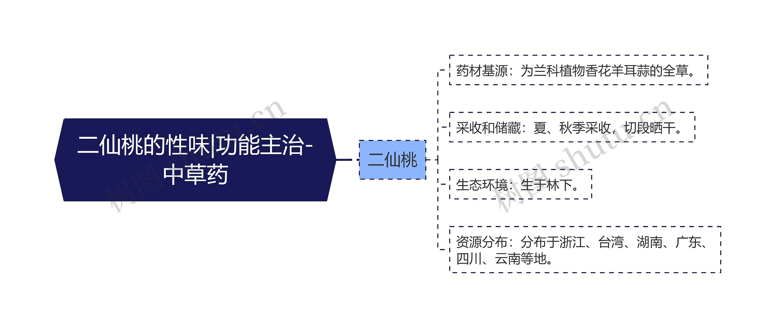 二仙桃的性味|功能主治-中草药思维导图