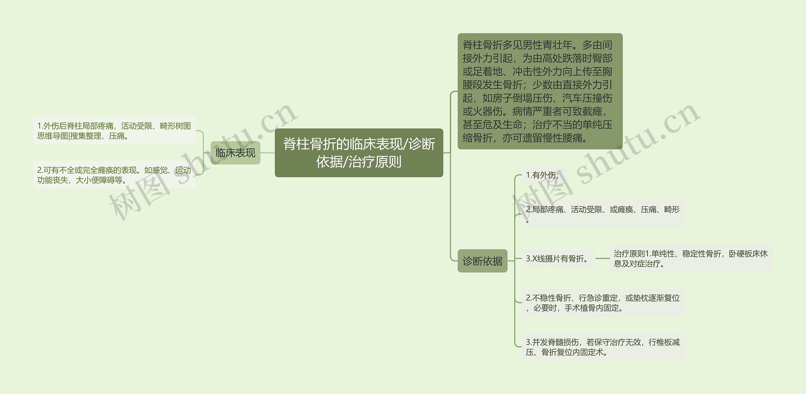 脊柱骨折的临床表现/诊断依据/治疗原则思维导图