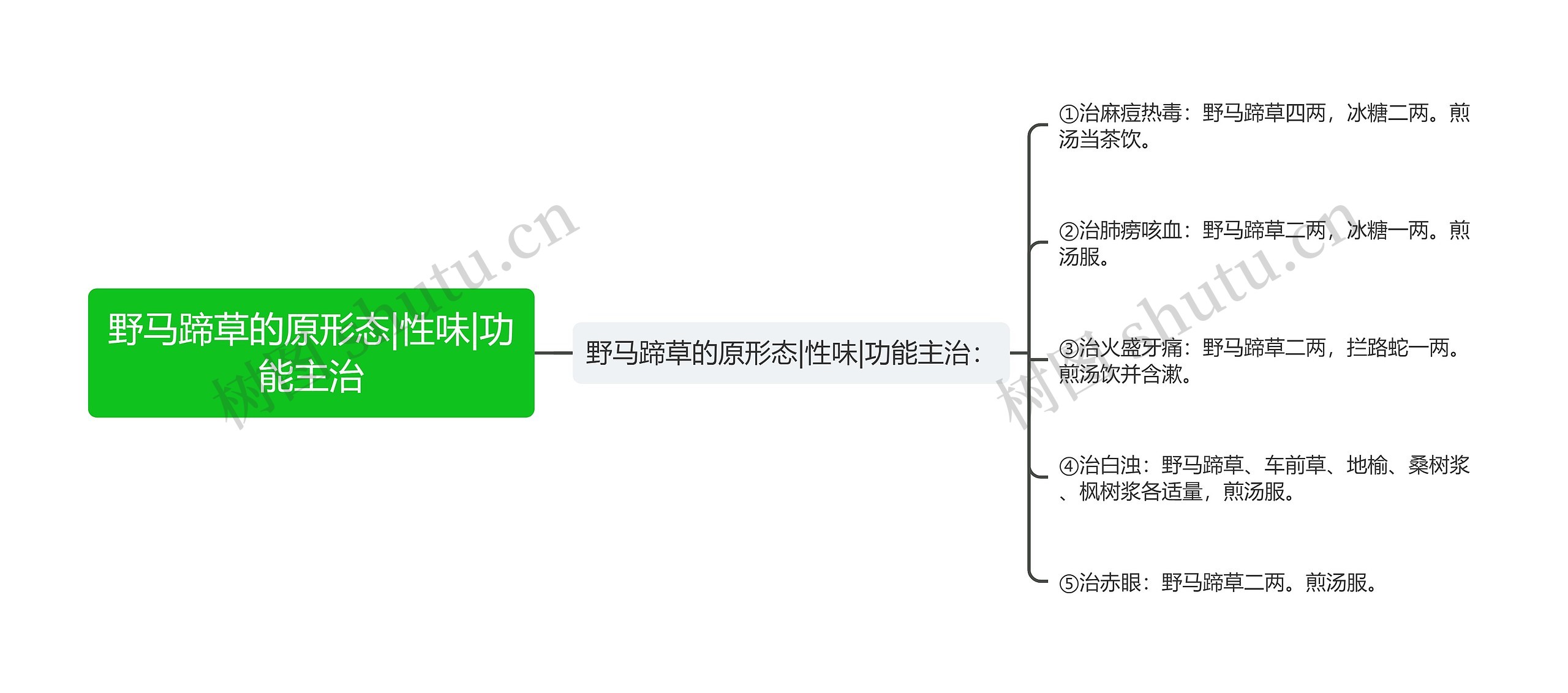 野马蹄草的原形态|性味|功能主治