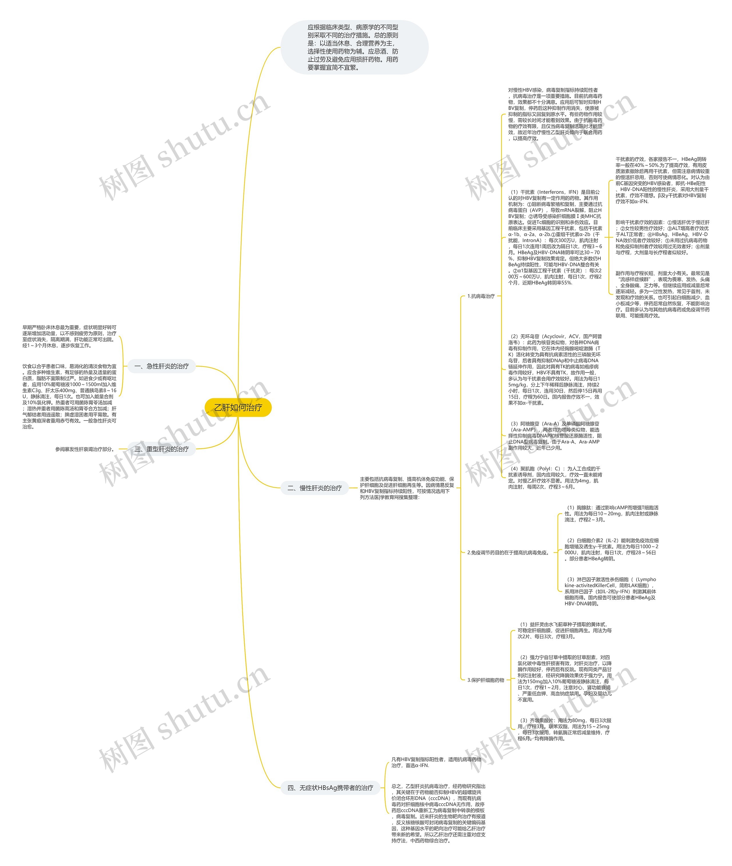 乙肝如何治疗思维导图