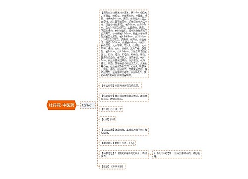 牡丹花-中医药