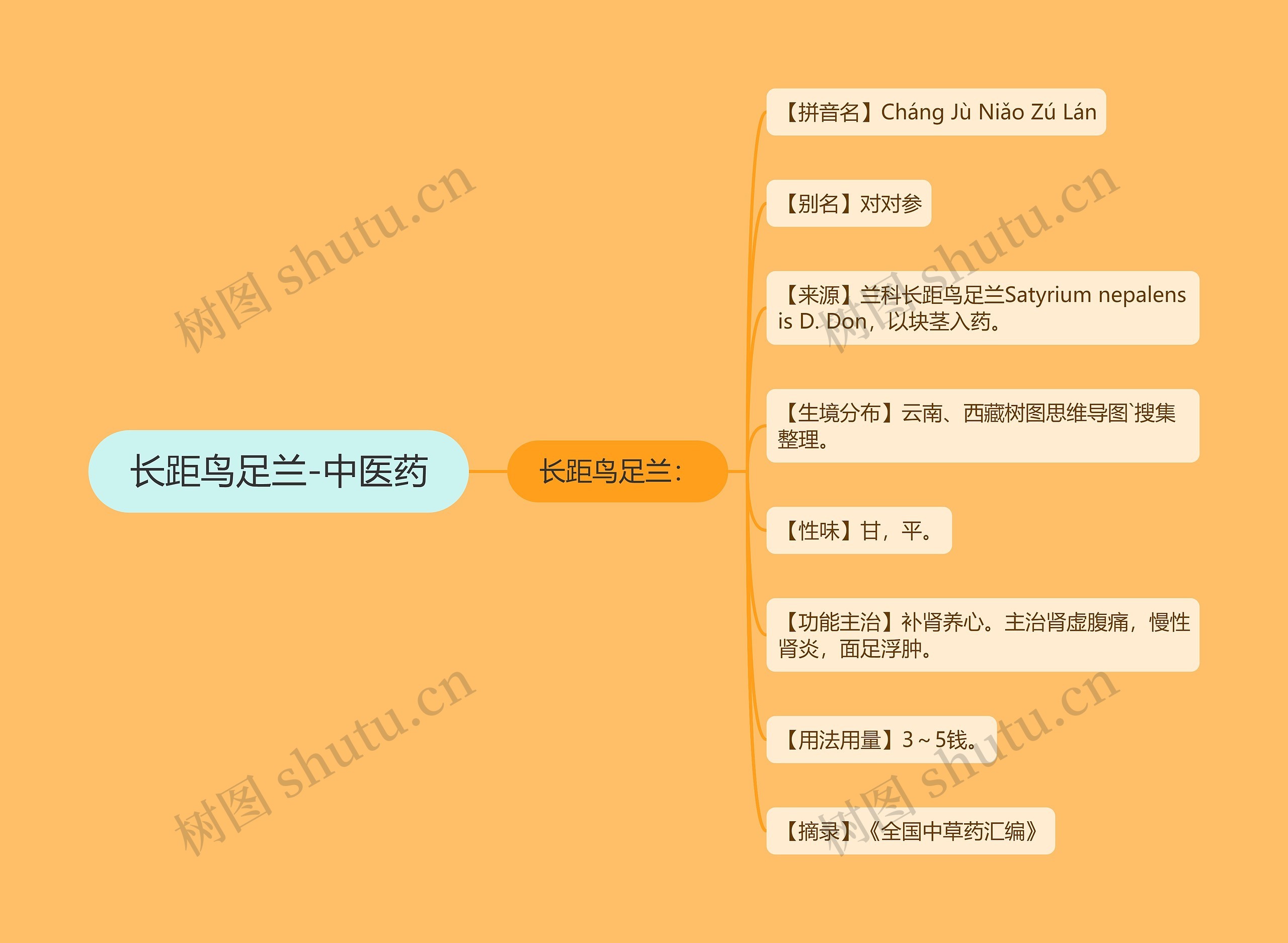 长距鸟足兰-中医药思维导图