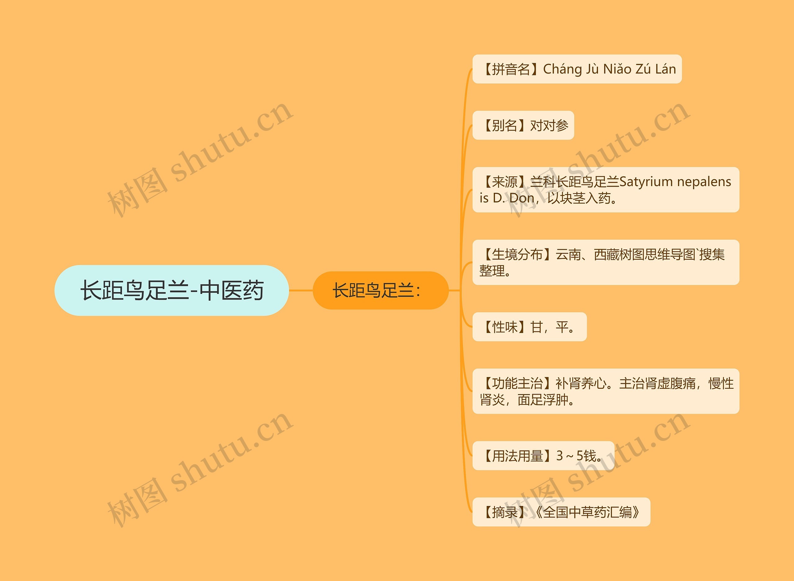 长距鸟足兰-中医药 长距鸟足兰-中医药