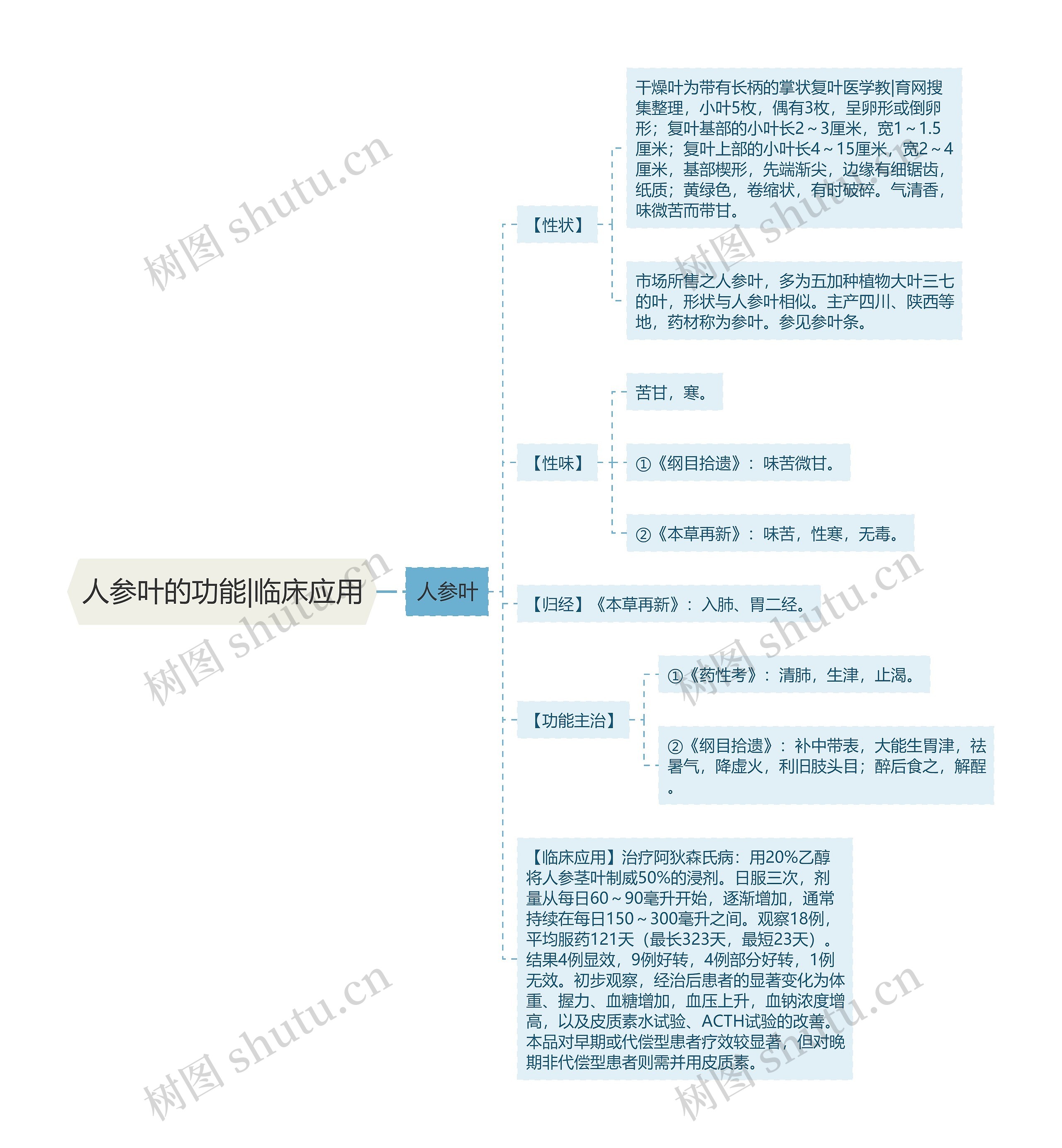 人参叶的功能|临床应用思维导图