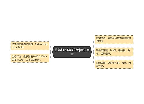 黄藨根的功能主治|用法用量