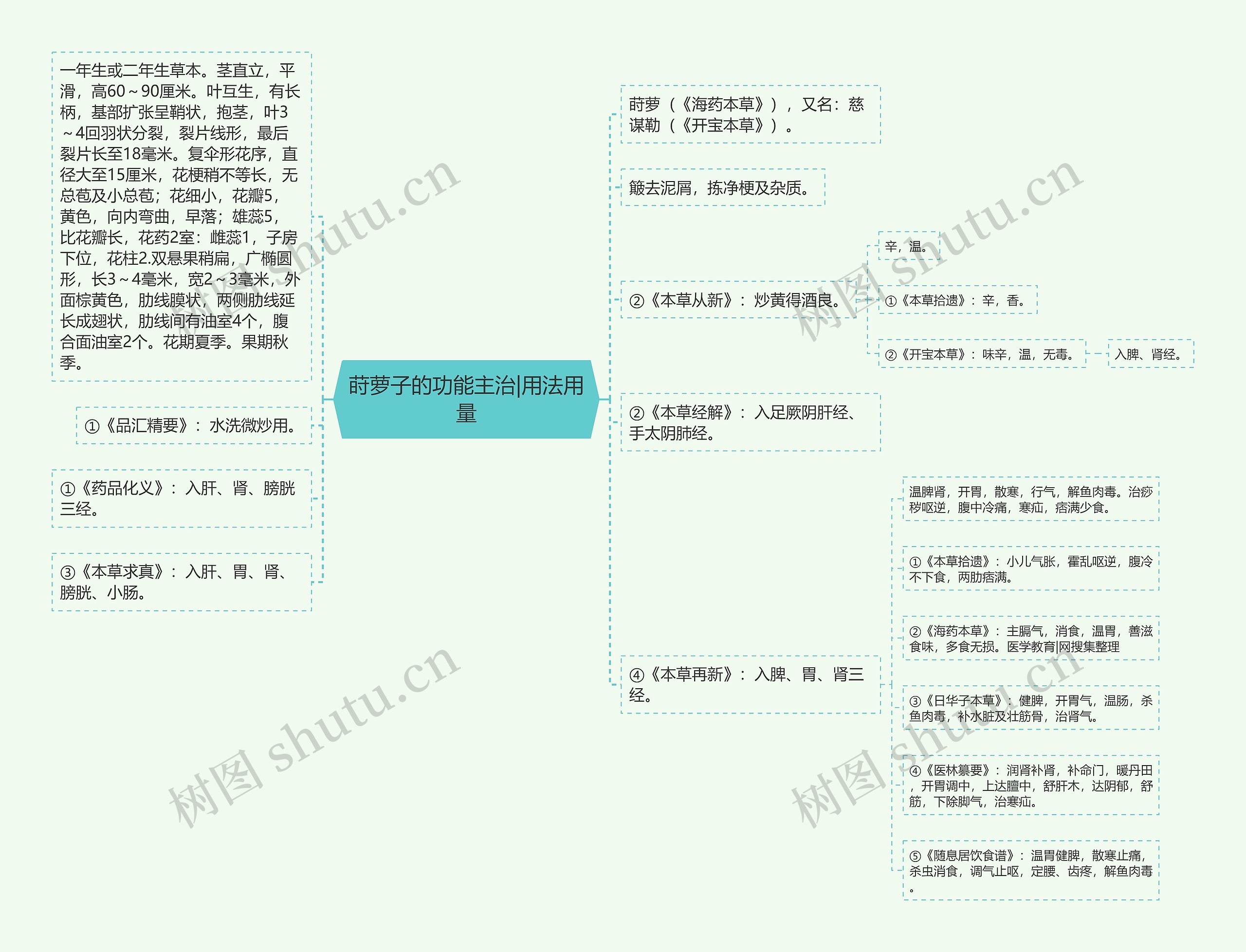 莳萝子的功能主治|用法用量 莳萝子的功能主治|用法用量