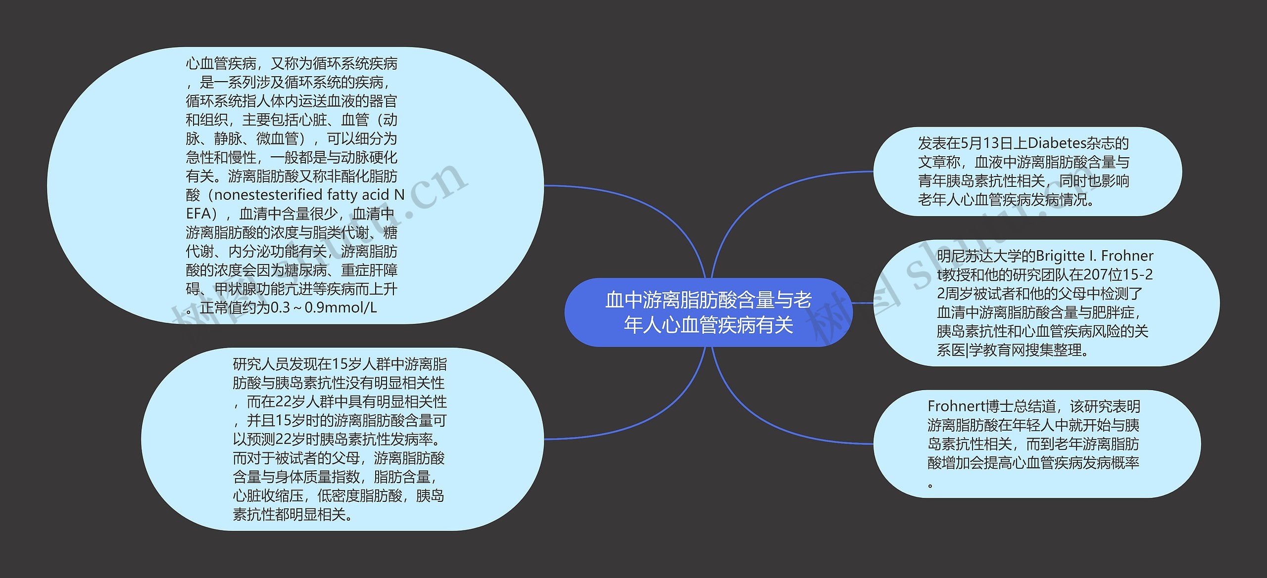 血中游离脂肪酸含量与老年人心血管疾病有关思维导图