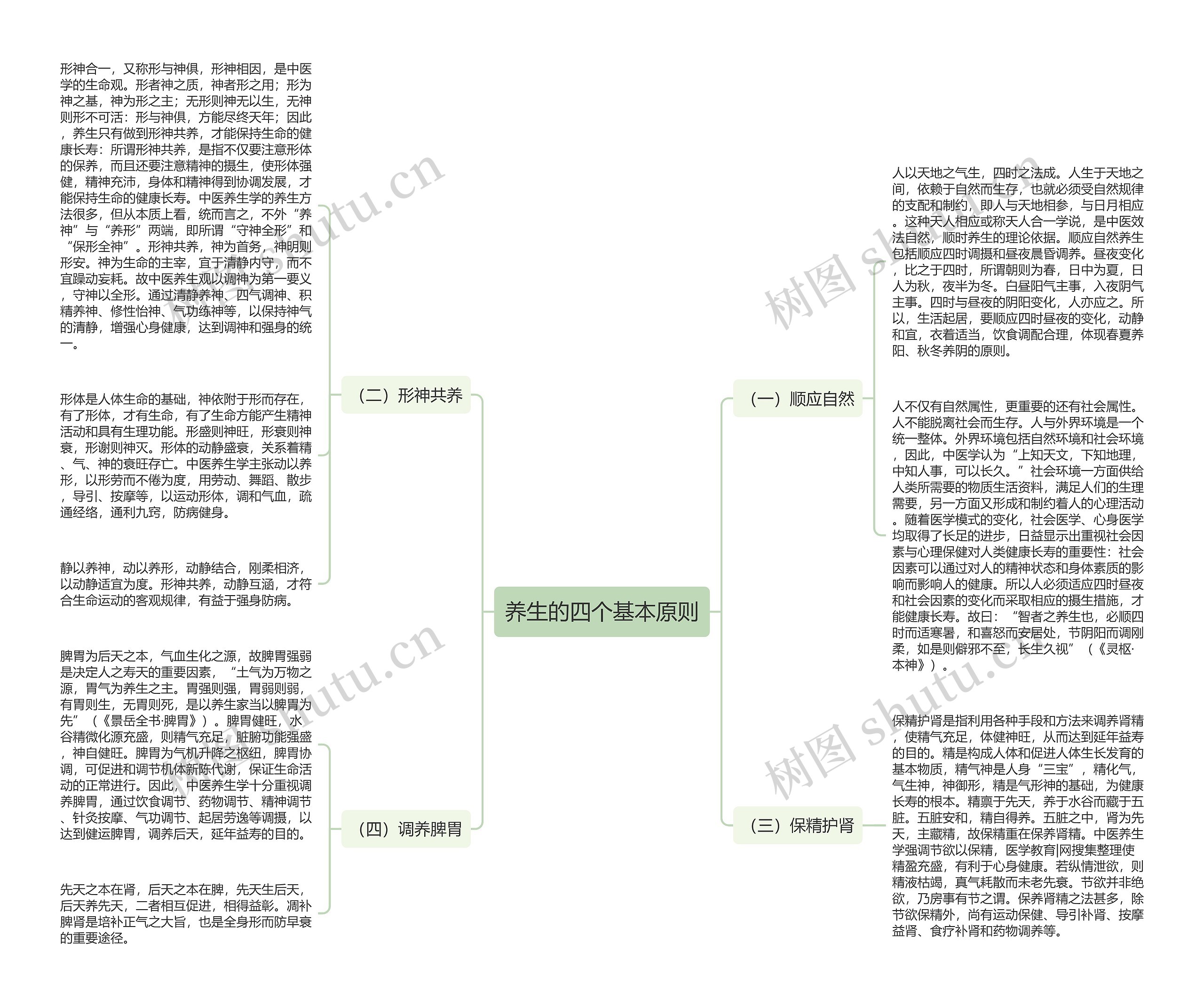 养生的四个基本原则思维导图