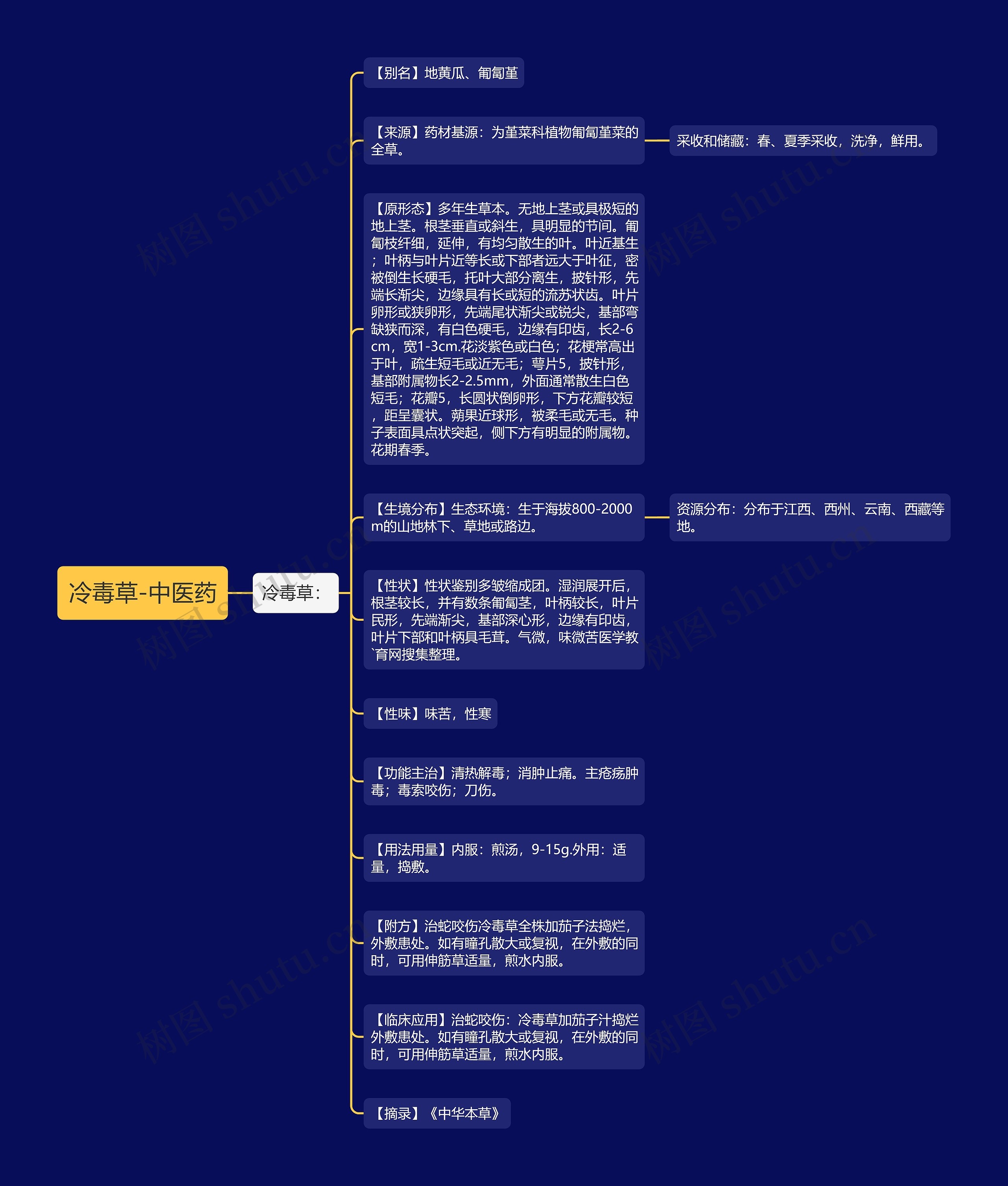 冷毒草-中医药思维导图