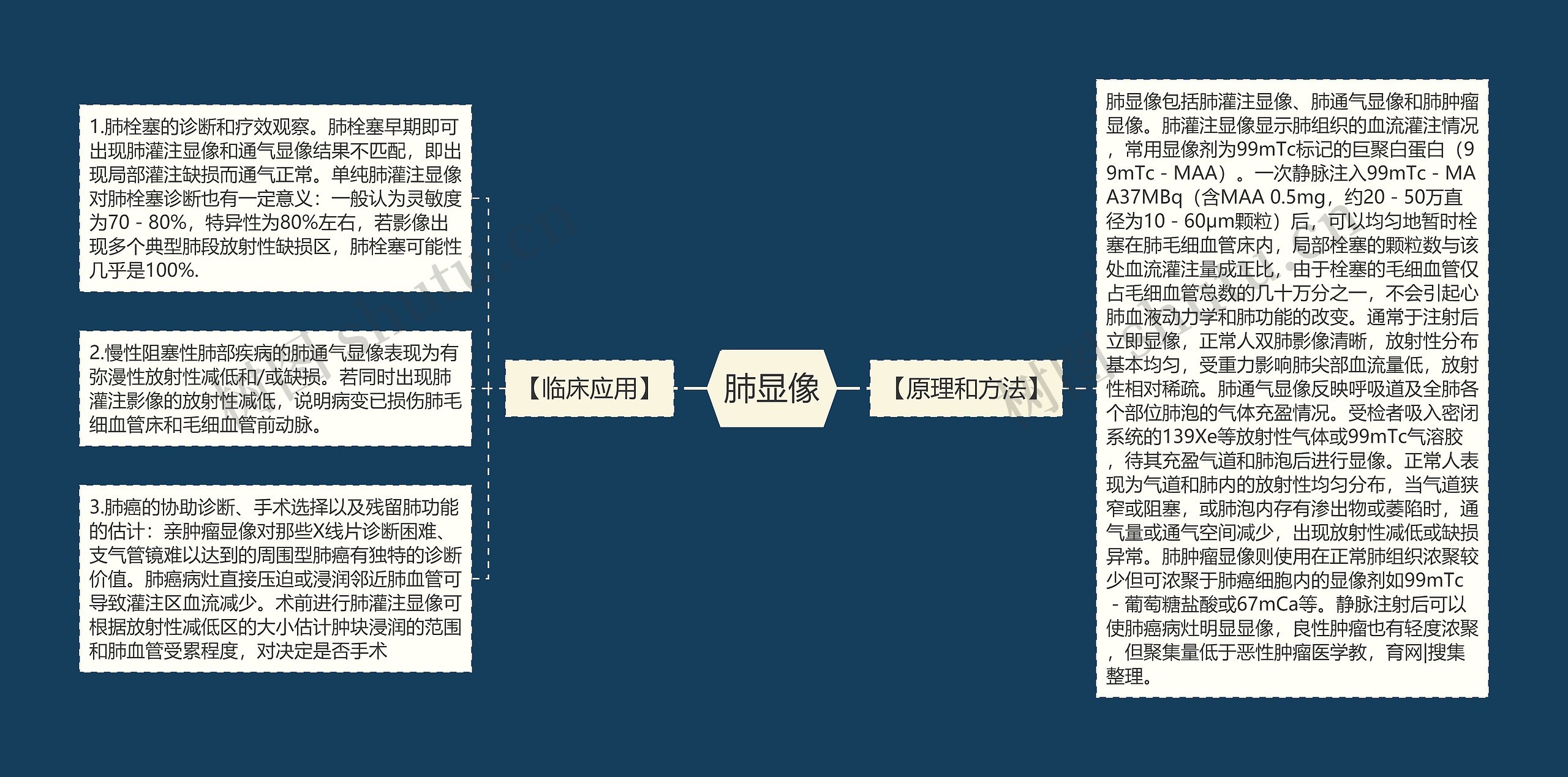 肺显像