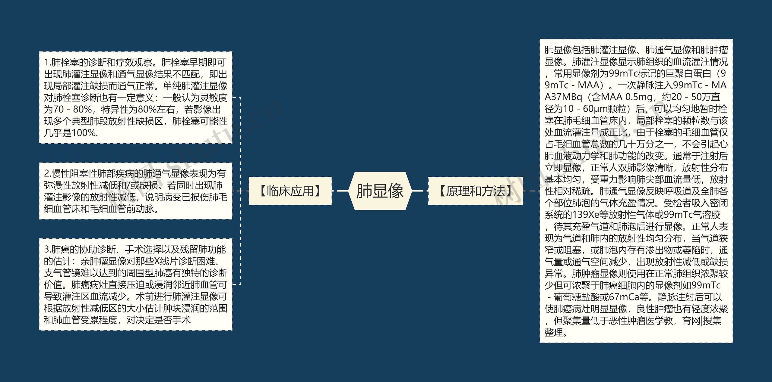 肺显像思维导图