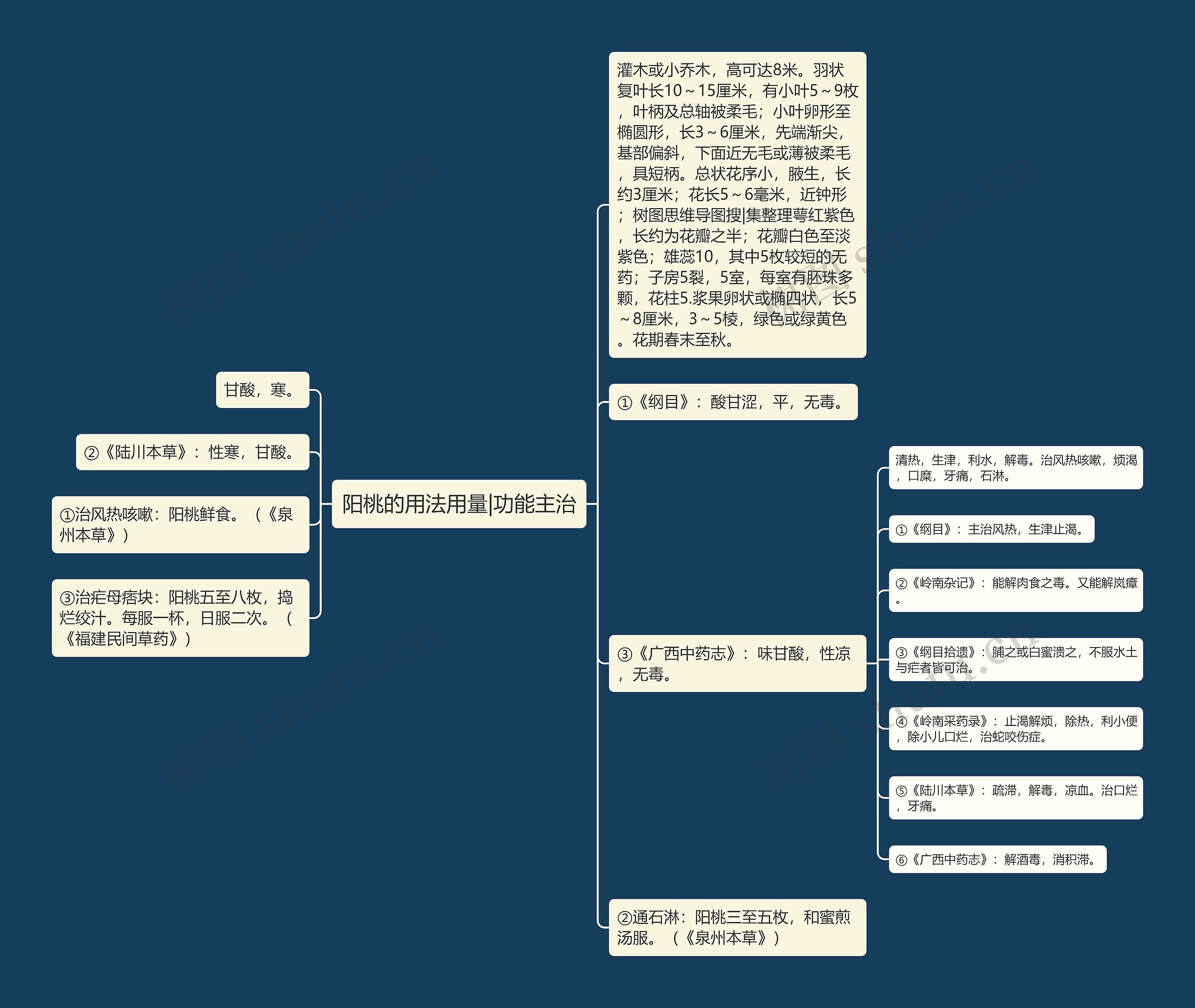 阳桃的用法用量|功能主治思维导图