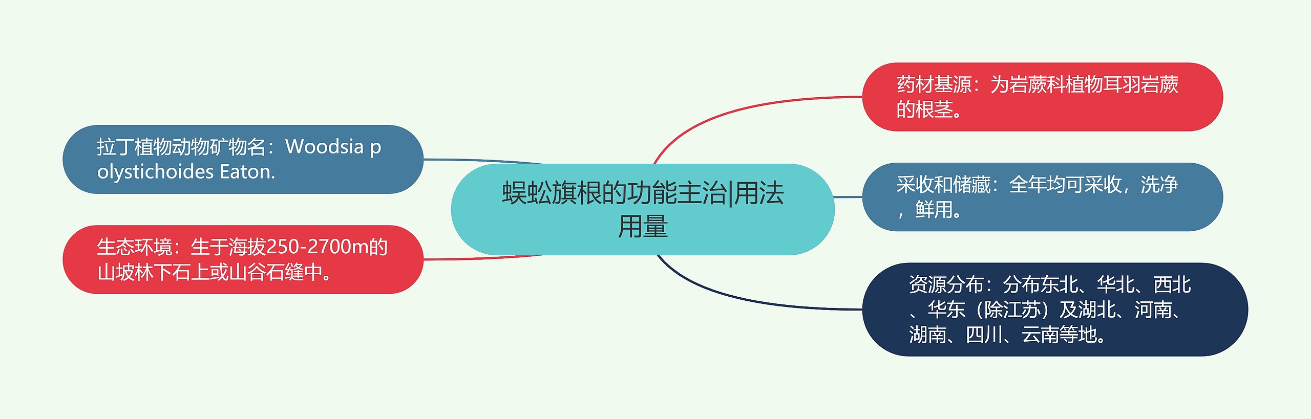 蜈蚣旗根的功能主治|用法用量 蜈蚣旗根的功能主治|用法用量