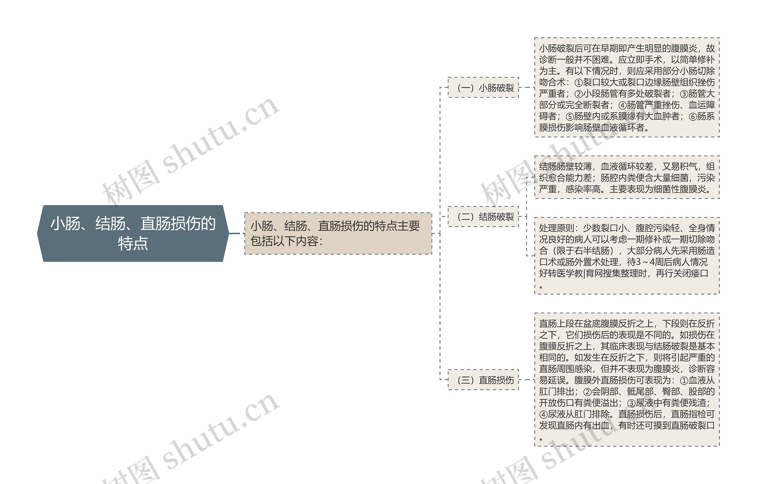 小肠、结肠、直肠损伤的特点