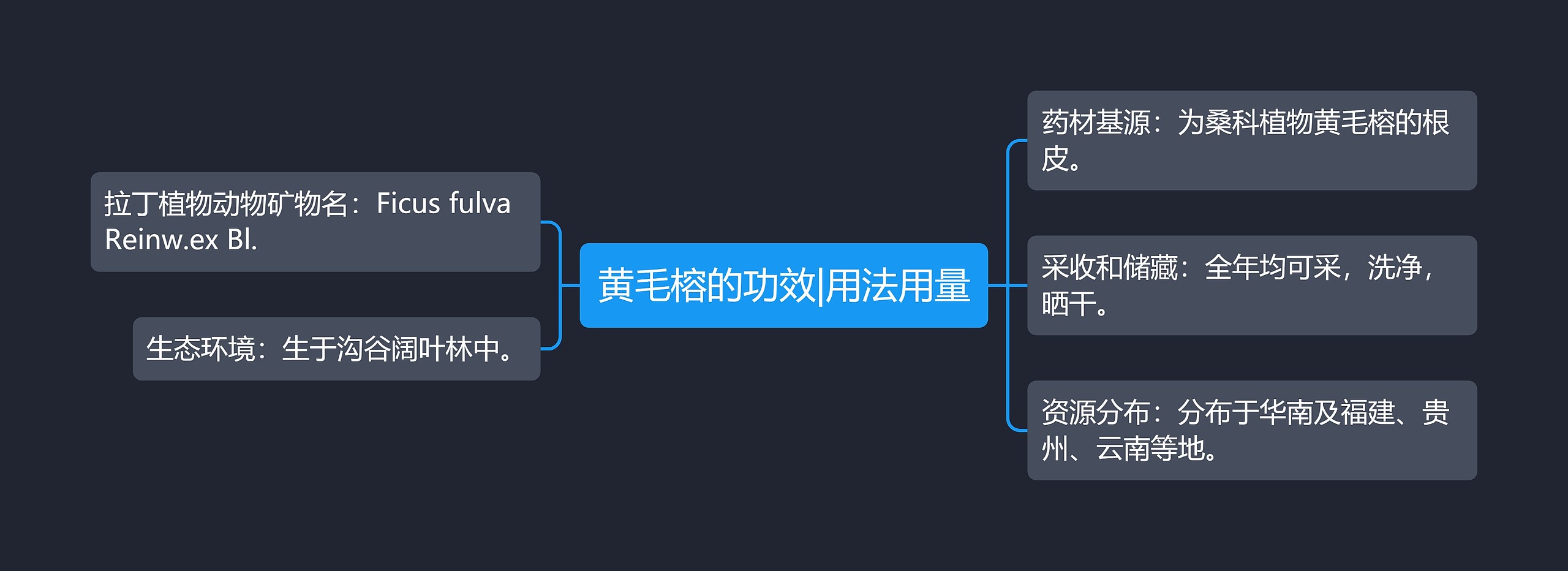 黄毛榕的功效|用法用量思维导图