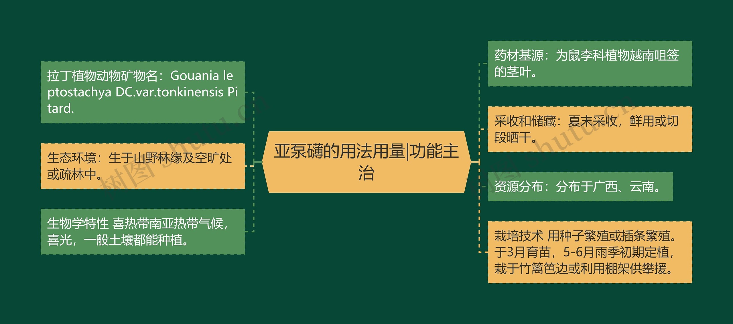 亚泵礴的用法用量|功能主治思维导图