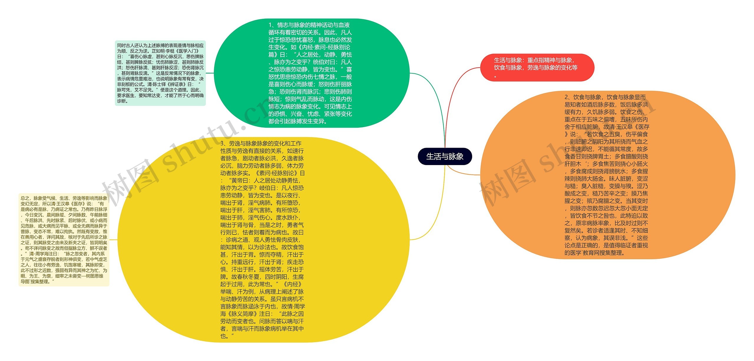 生活与脉象思维导图