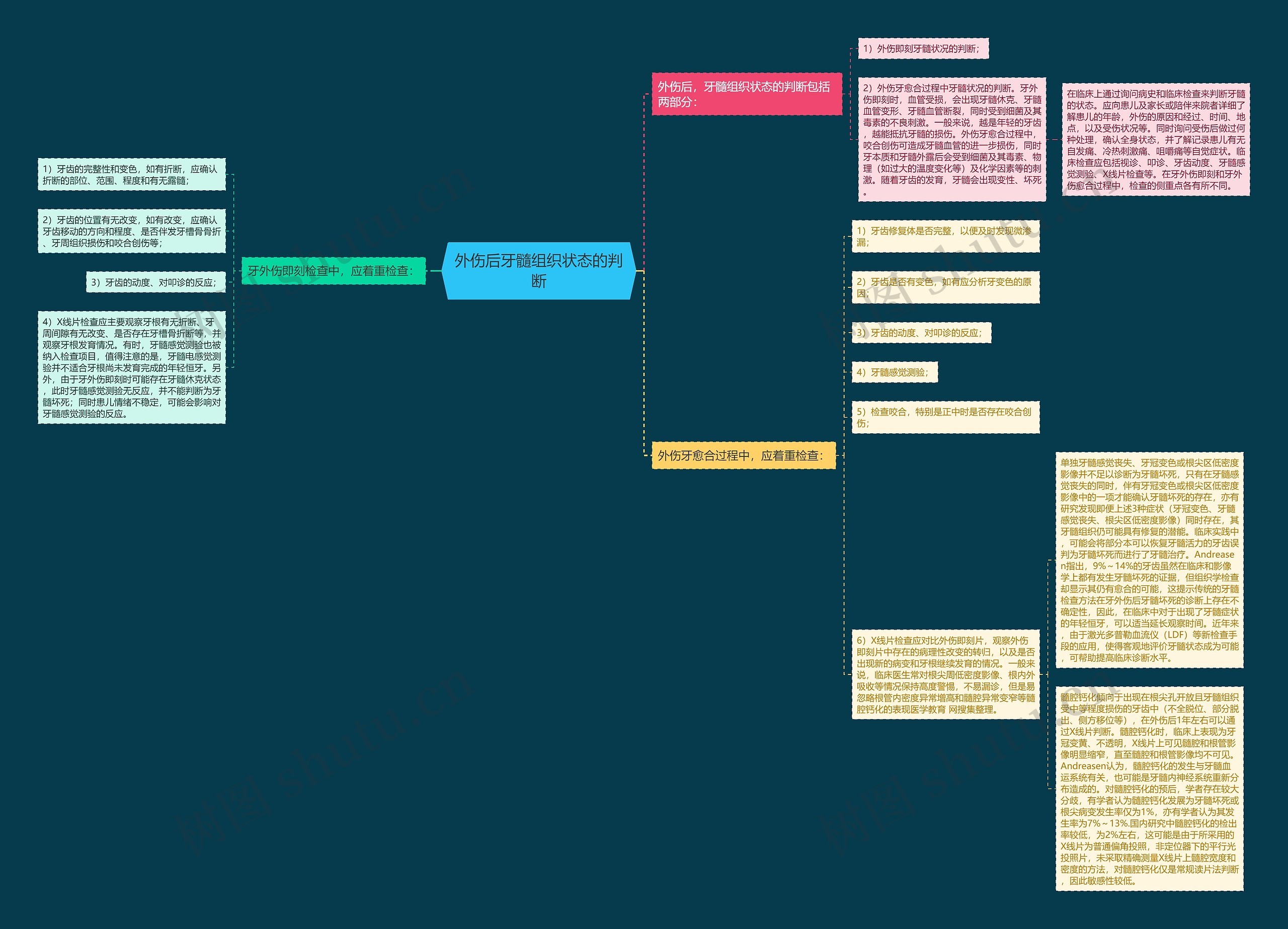 外伤后牙髓组织状态的判断 外伤后牙髓组织状态的判断